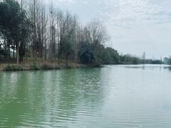 -白塔湖国家湿地公园