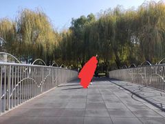 -裕华世纪公园