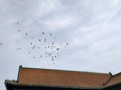 -湛山寺