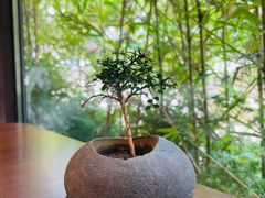 -小西家作•精致蛋糕(富力爱丁堡店)