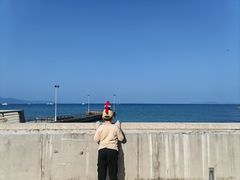 -杨梅坑