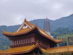 -深圳仙湖植物园