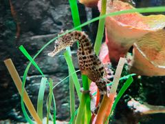 -沈阳海洋探索中心