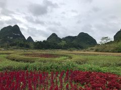 -靖西鹅泉风景区
