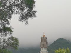 -深圳仙湖植物园