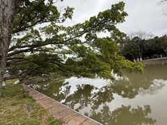 -江心屿景区
