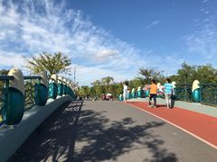 -上海长兴岛郊野公园