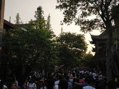 -台儿庄古城