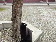 -西园戒幢律寺