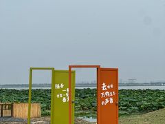 -七的湖·晚芳亭·阳澄湖农家菜·大闸蟹(莲花岛店)