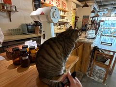 -栖咖啡(泉舜店)