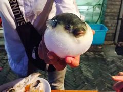 -观桥阁(锦溪店)