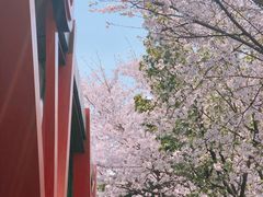 -杨高南路(地铁站)