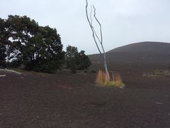 -夏威夷岛