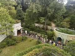 -三鹰之森吉卜力美术馆