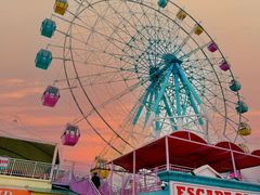 -巨鹏飞梦幻海岸