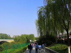 -西安汉城湖景区