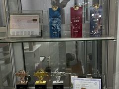 -青奢宠物·青奢猫舍