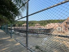 -广东惠东海龟国家级自然保护区