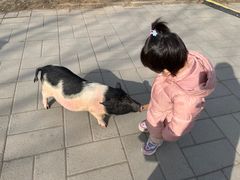 -北京鹿世界主题园
