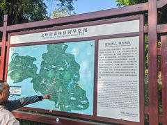 -东莞市大岭山森林公园