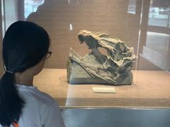 -自贡恐龙博物馆