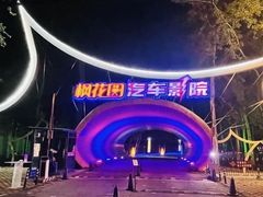 -枫花园汽车电影院(朝阳公园店)