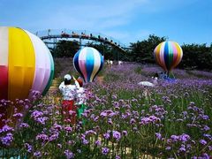 -洪湖湿地生态园