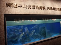 -淘米捞·米汤脆鲩鱼火锅(福田皇岗店)