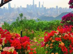 -广州市白云山风景名胜区