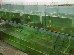 -蚝乡农庄(铁涌赤岸店)