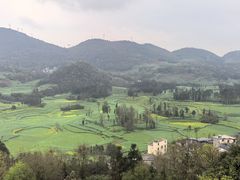 -牛街螺丝田