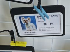 -全心全意动物诊疗中心医院(北苑店)