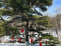 -青岛德国总督楼旧址博物馆