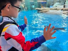 -帝企鹅自助餐厅•儿童岛•真企鹅(长隆企鹅酒店)