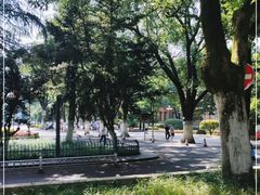 -岳麓山风景名胜区