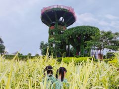 -芒洲湿地公园