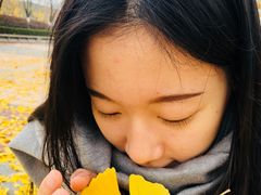 -金陵图书馆