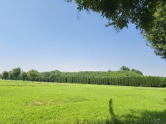 -汉长安城未央宫国家考古遗址公园