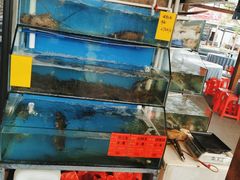 -阿弟特色海鲜餐厅·大排档(平潭店)