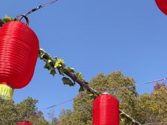 -横店影视城梦幻谷园区