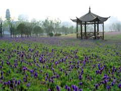 -杭州城北体育公园