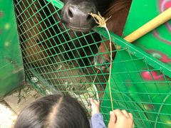 -上方山森林动物世界