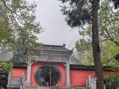 -玉泉院