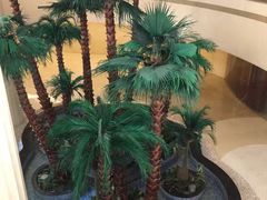 -南宫温泉水世界