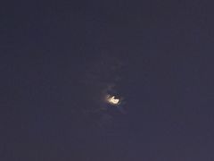 -小林哥的海鲜馆·夜宵烧烤(渔人码头店)