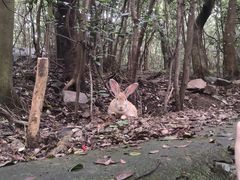 -普陀山慧济禅寺