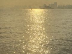 -野狸岛
