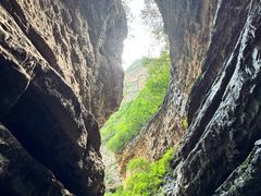 -百花人家(清水田园店)