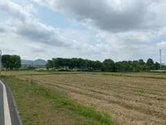 -光明小镇欢乐田园